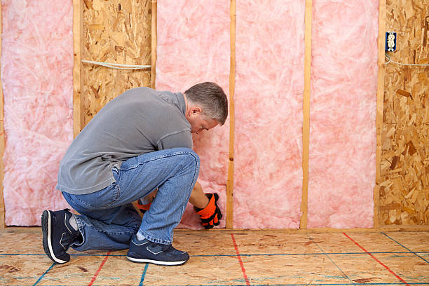 Best Residential Insulation in Wapakoneta, OH