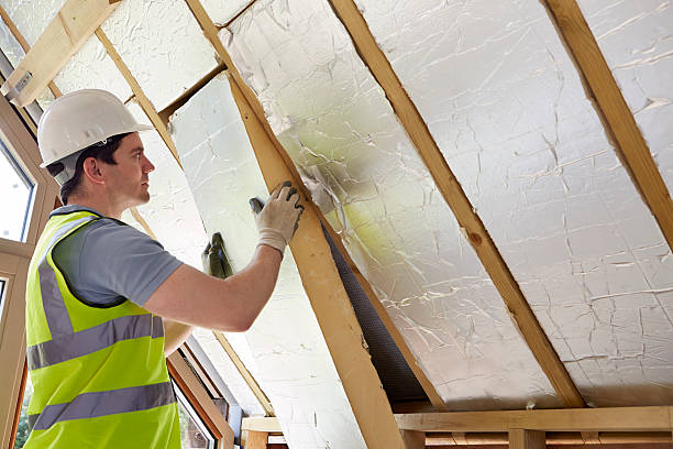 Best Insulation Maintenance and Repair in Wapakoneta, OH