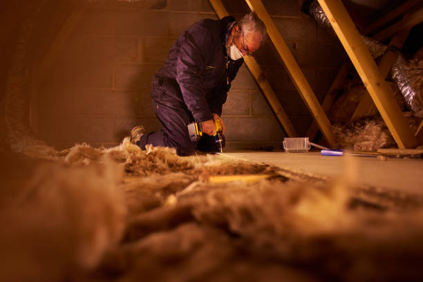 Best Insulation Maintenance and Repair in Wapakoneta, OH