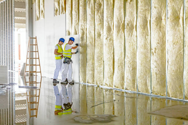Best Specialty Insulation in Wapakoneta, OH